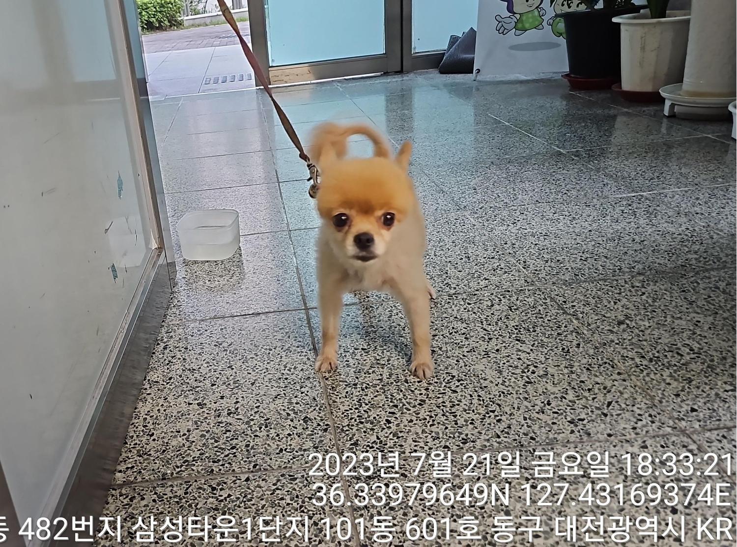 대전동물보호센터_430364202300236
